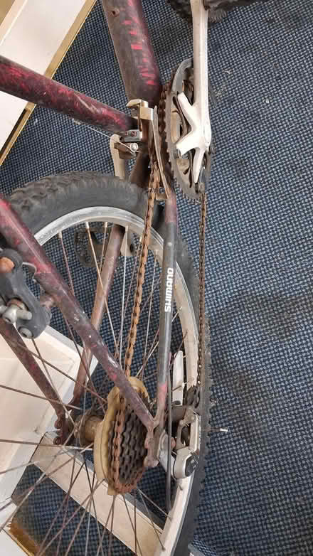 Photo of free Adult Bicycle (BD8) #1