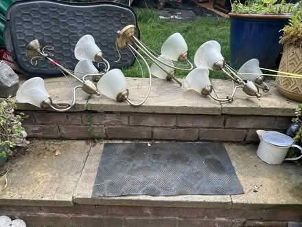 Photo of free Ceiling lights (Basingstoke - RG22) #1