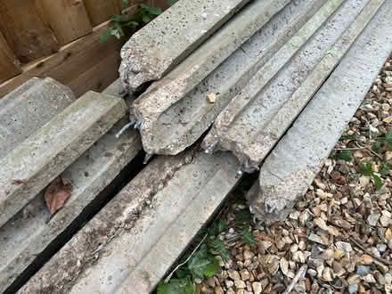 Photo of free Concrete fence post + gravel boards (Little Shelford) #4
