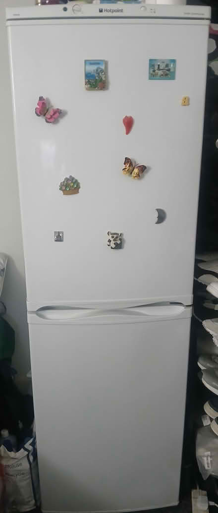 Photo of free Tall fridge-freezer (Woolwich SE18) #1