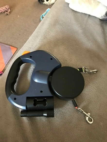 Photo of free Dog lead (Kemptown BN2) #1