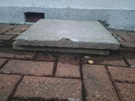 Photo of free 13 mixed paving slabs (SE12) #2