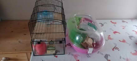 Photo of free Hamster etc cages and contents (CT4) #1
