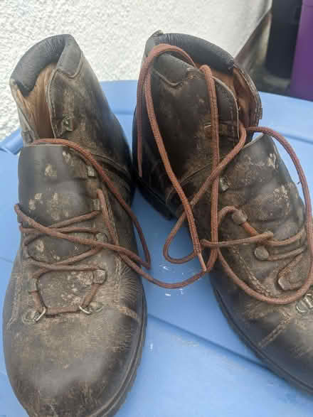 Photo of free Hiking Boots (Knotty Ash L12) #2