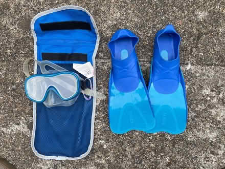 Photo of free Flippers (Islington N1) #2