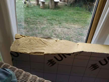 Photo of free Sheet of 12cm thick insulation (Stroud GL2) #4