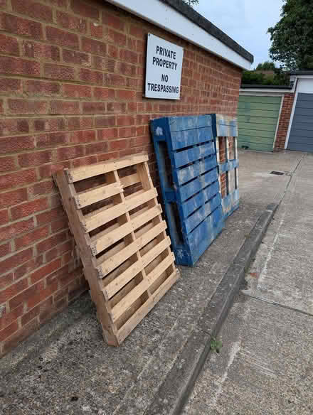 Photo of free Pallets (3 pieces) (South Croydon) #3