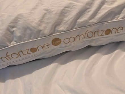 Photo of free Dunelm feather and down pillow (Hornby LA2) #2