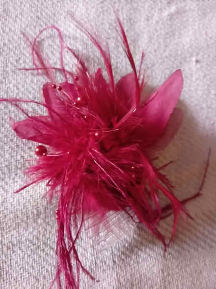Photo of free Fascinator (Teddington TW11) #3