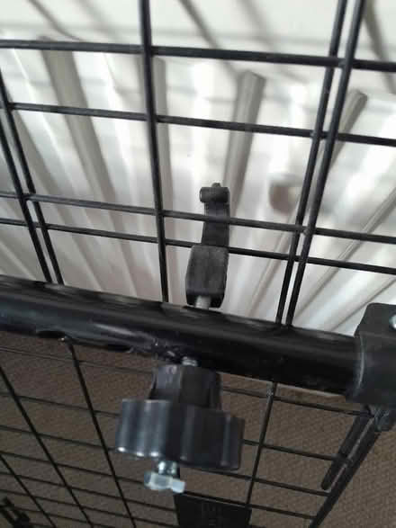 Photo of free Sakura Car Dog Guard (Hillsborough S6) #2