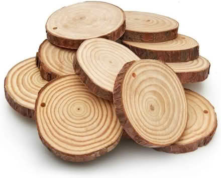 Photo of Wood slices (Fulwood PR2) #1