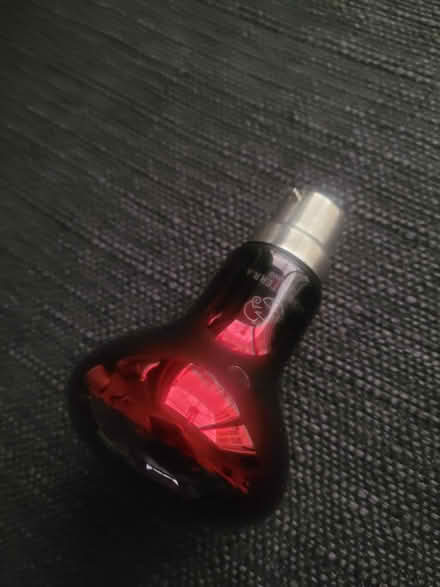 Photo of free Basking bulb (Senacre ME15) #1