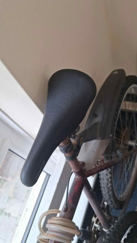 Photo of free Adult Bicycle (BD8) #4