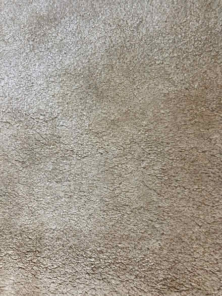 Photo of free Large rug (Cockermouth CA13) #2