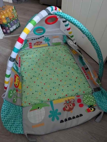 Photo of free Baby play mat (Goffs Oak EN7) #1