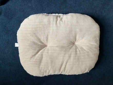 Photo of free Pet cushion (City of Bristol BS6) #2