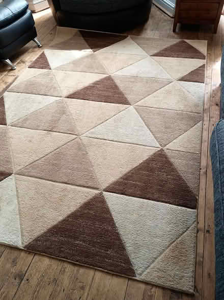 Photo of free Large Rug (Wf17 6LQ) #4