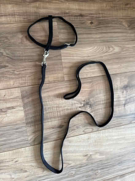 Photo of free Cat harness (West Granton EH5) #1