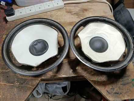 Photo of Speakers 25 cm size bass drivers (Tuckswood NR4) #1