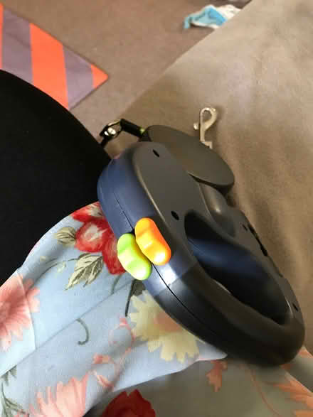 Photo of free Dog lead (Kemptown BN2) #2