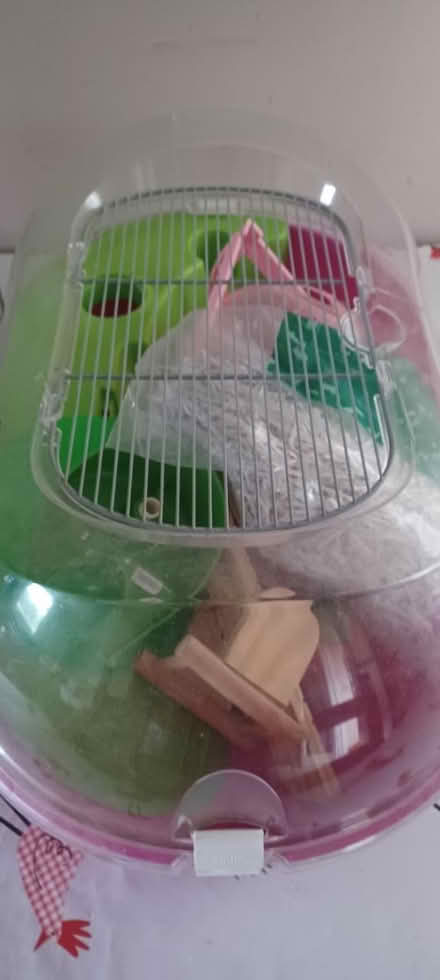 Photo of free Hamster etc cages and contents (CT4) #2