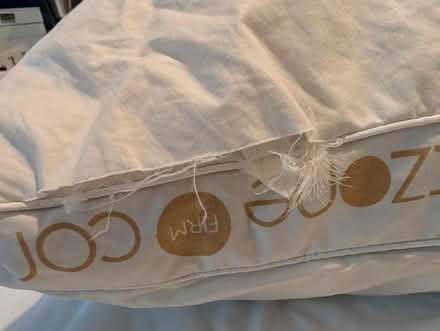 Photo of free Dunelm feather and down pillow (Hornby LA2) #3