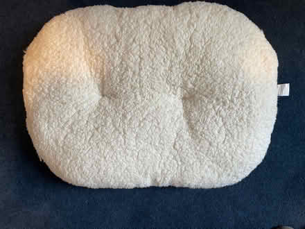 Photo of free Pet cushion (City of Bristol BS6) #1