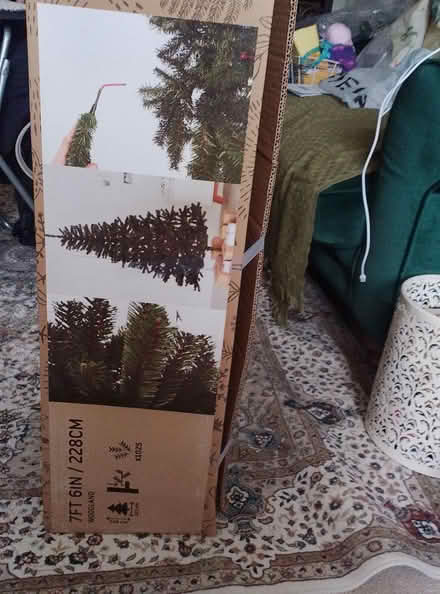 Photo of free Woodland 7ft Christmas tree (Barnham) #1