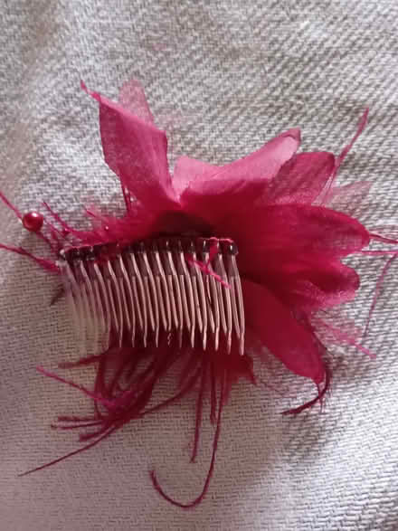 Photo of free Fascinator (Teddington TW11) #2