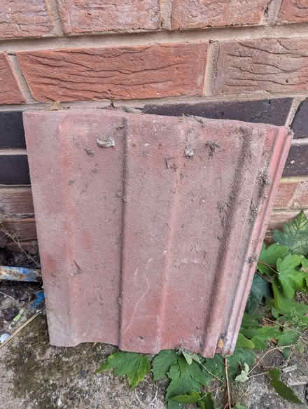 Photo of free 12 Roof tiles (Wavertree L8) #1