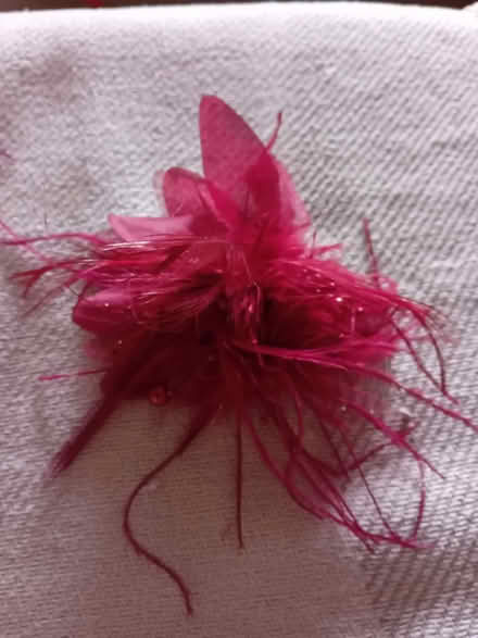 Photo of free Fascinator (Teddington TW11) #1