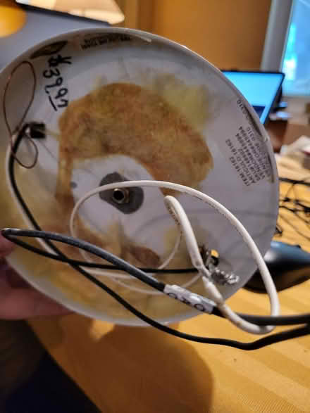 Photo of Turbo tax 2024 for Business (Dunedin - Patricia & 580) #3