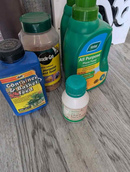 Photo of free plant feeds (Wybourn S2) #1