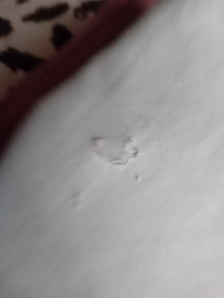 Photo of free King Size Duvet Cover, 2 Pillowcases & Sheet (Oxford ST6) #2