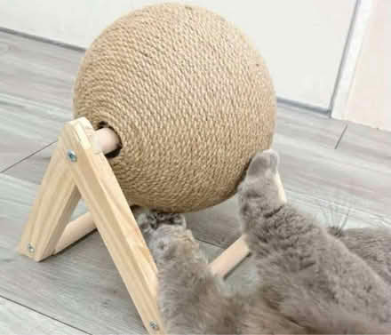 Photo of free Cat scratcher ball (Harborne Birmingham) #1