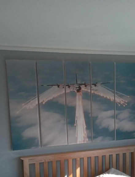 Photo of free Very large framed canvas (Stannington, S6) #1