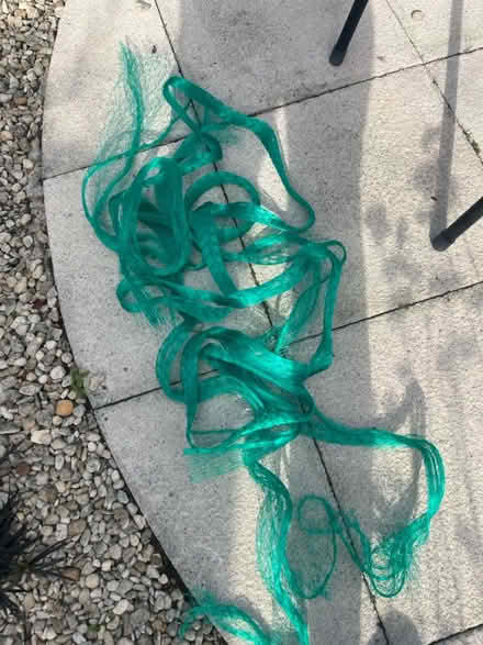Photo of free Garden netting (Headington, Oxford OX3) #3