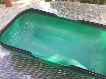 Photo of free X-L plastic trug (Longlevens) #3