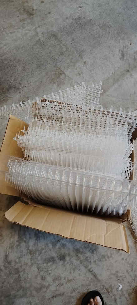 Photo of free Mat with Prickle Strips (Laurel) #3