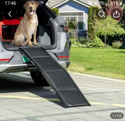 Photo of Dog car ramp (Penrith CA11) #1
