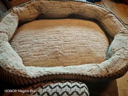 Photo of free Medium dog bed (East Ayton YO13) #1