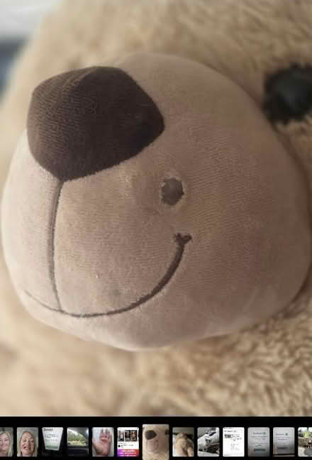 Photo of free Huge Teddy (Redditch B98) #2