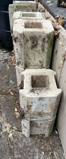Photo of free 20 concrete hollow blocks (Whitton TW2) #1