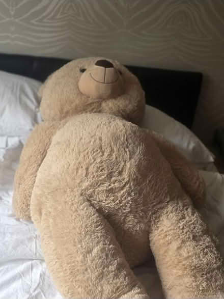 Photo of free Huge Teddy (Redditch B98) #1