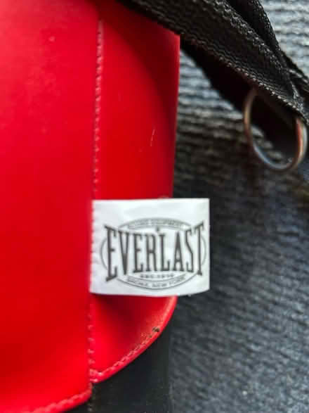 Photo of free Everlast Punch Bag (Nr Oswestry) #3