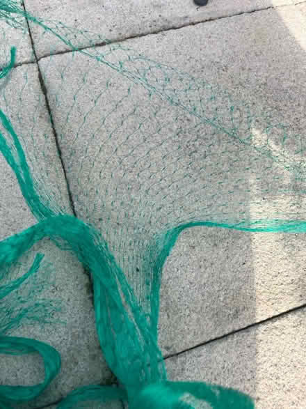 Photo of free Garden netting (Headington, Oxford OX3) #2