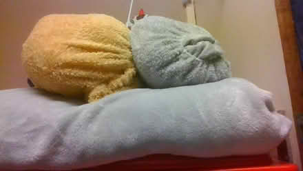 Photo of free Fleece throw and sheets (BA2) #1