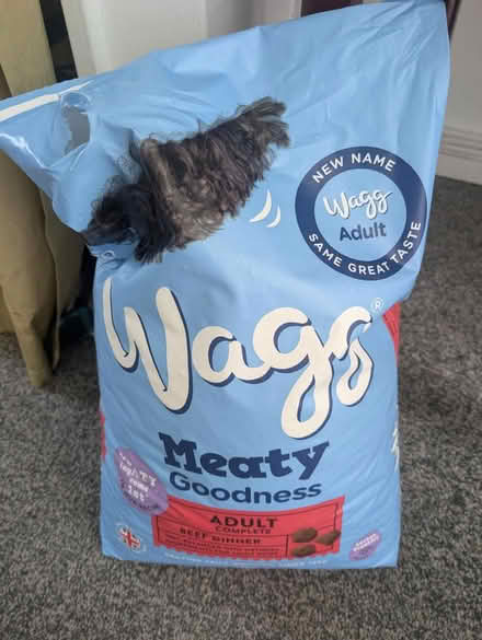 Photo of free Adult dog food (LS11) #1