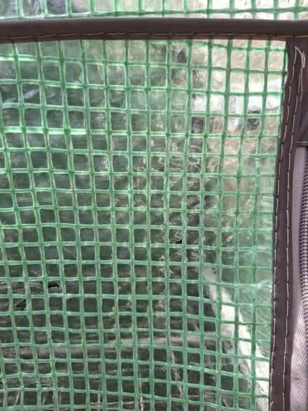 Photo of free mini green house (Sherwood Nottingham NG5) #4
