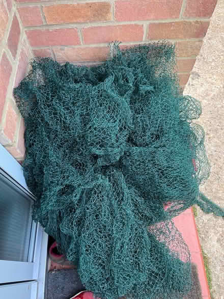 Photo of free Netting for fruit trees and beds (Sway SO41) #1
